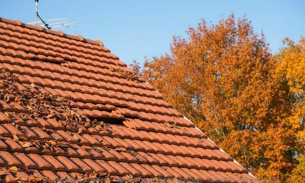 Dakrenovatie In Herfst Vlissingen
