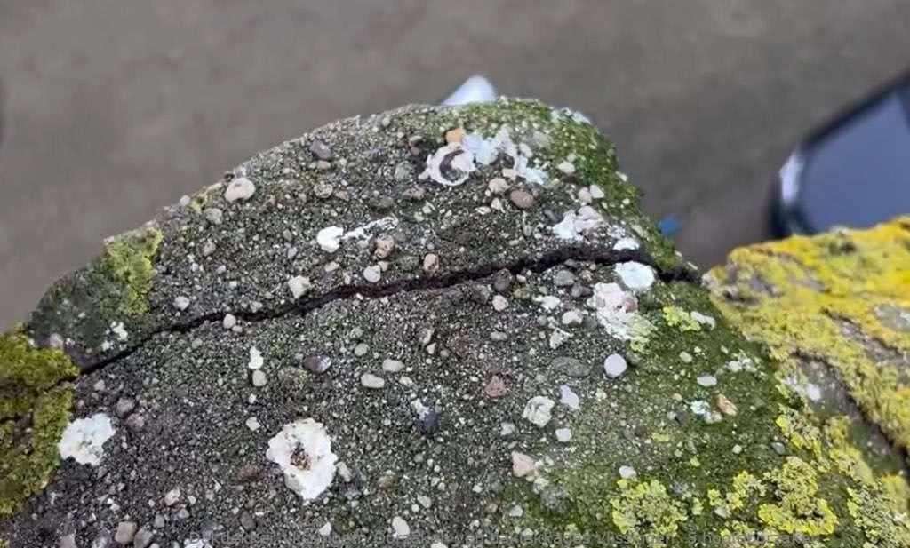 Oorzaken Van Daklekkages Vlissingen
